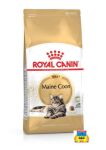 Royal Canin Maine Coon Adult сухий корм для котів породи мейн-кун